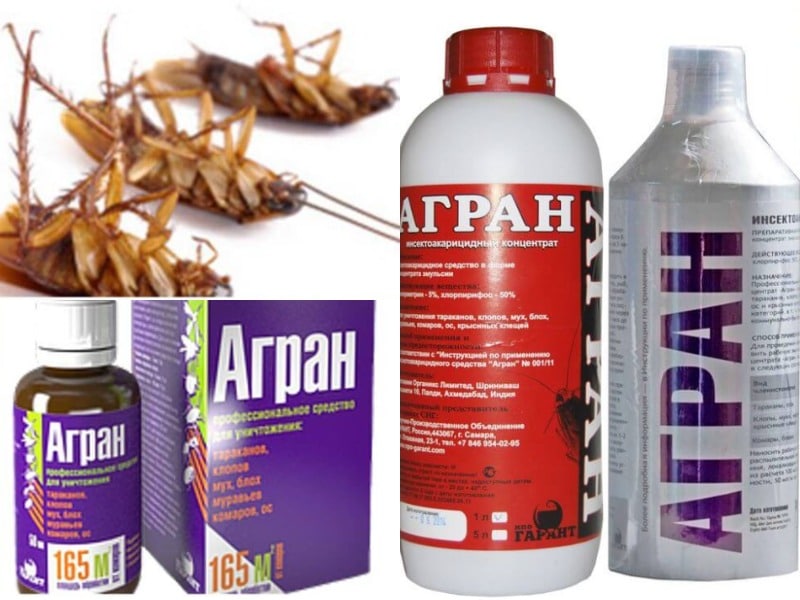 Инструкция по применению инсектицида «агран» в борьбе с тараканами и клопами