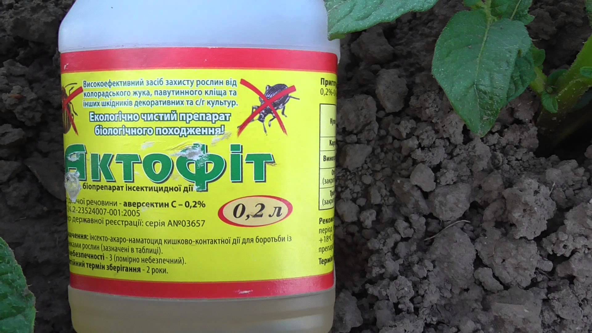 Инсектицид Актофит: химический состав и меры предосторожности