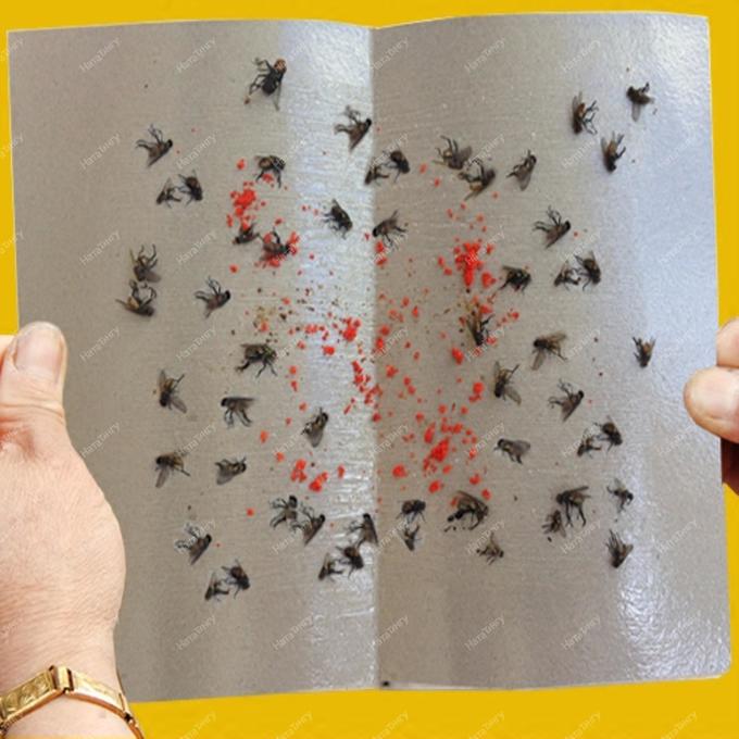 Как избавиться от мух и личинок в доме или квартире? 15 секретов