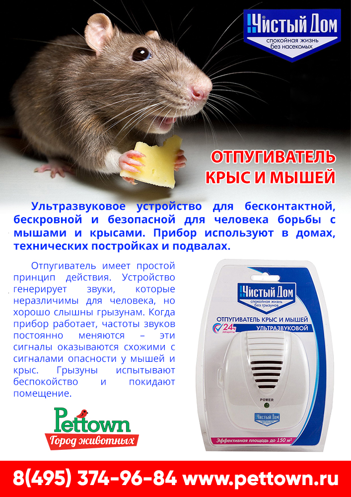 Ультразвуковые отпугиватели как средство борьбы с мышами и крысами