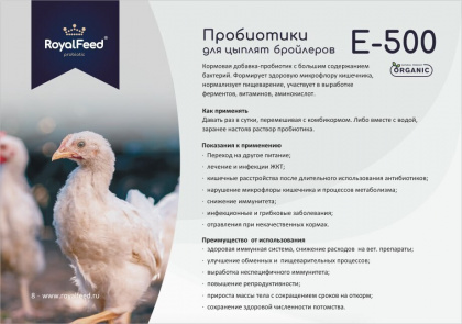 Как давать пробиотики для цыплят: дозировка, цели