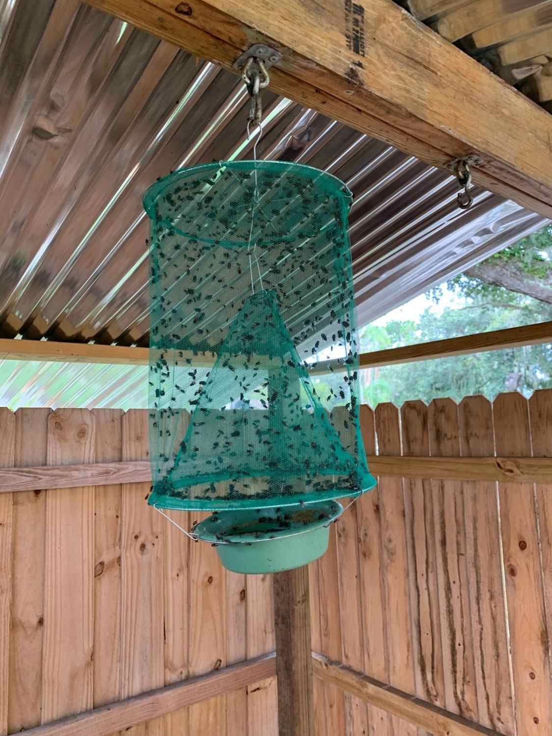 Ловушки для комаров в доме и на улице. лучшие устройства от комаров