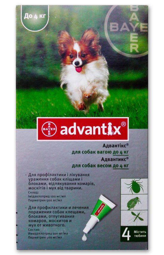 Адвантикс для собак – назначение, инструкция, отзывы
