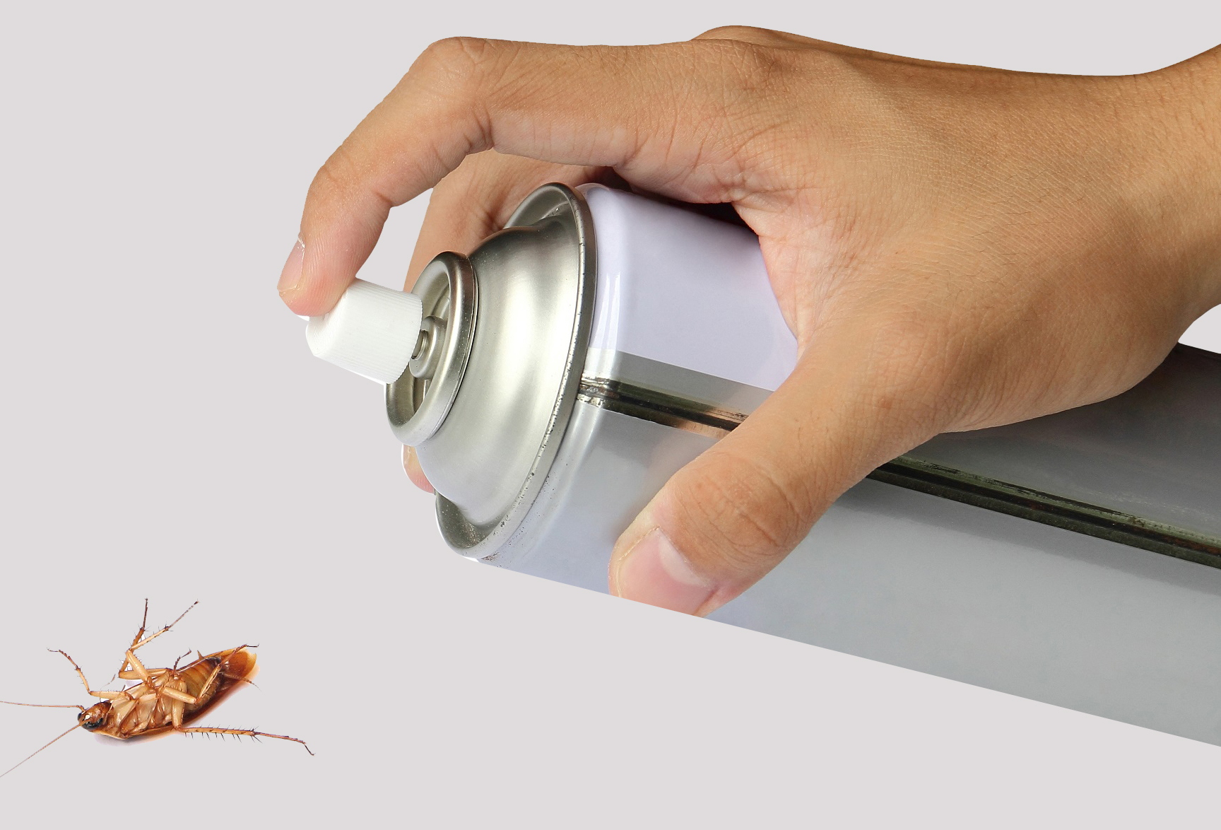 Чем травить тараканов в квартире самостоятельно