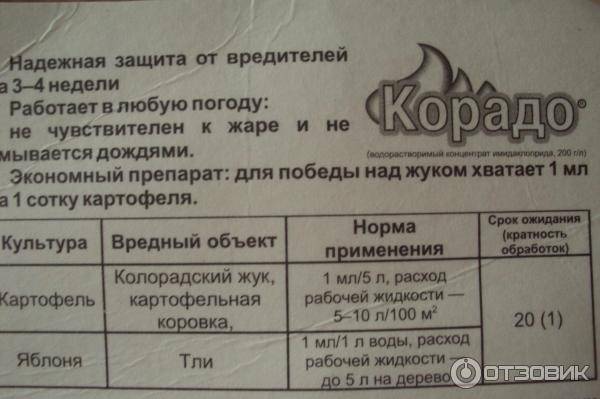 Корадо: инструкция по применению от колорадского жука, тли, морковной мухи | отзывы о корадо, состав, совместимость, аналоги инсектицида