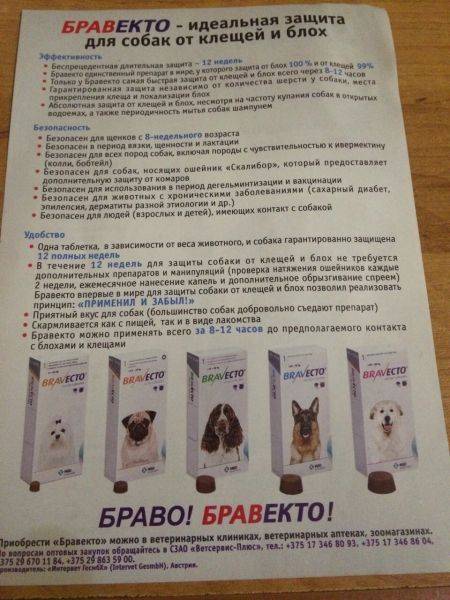 Бравекто для собак: инструкция по применению | отзывы, цена, таблетки, капли