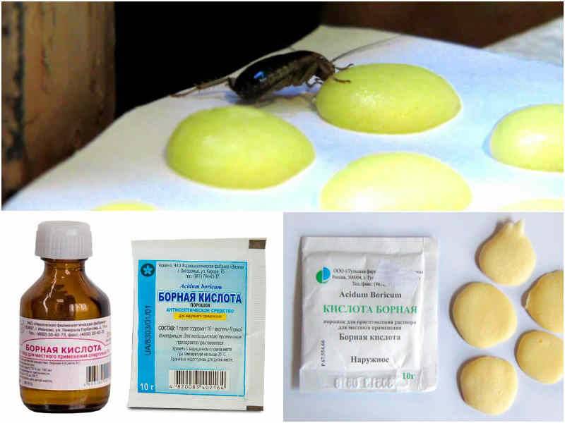 Как действует борная кислота на тараканов: рецепт с яйцом и другие