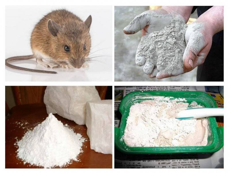 Как избавиться от мышей в квартире навсегда народными средствами