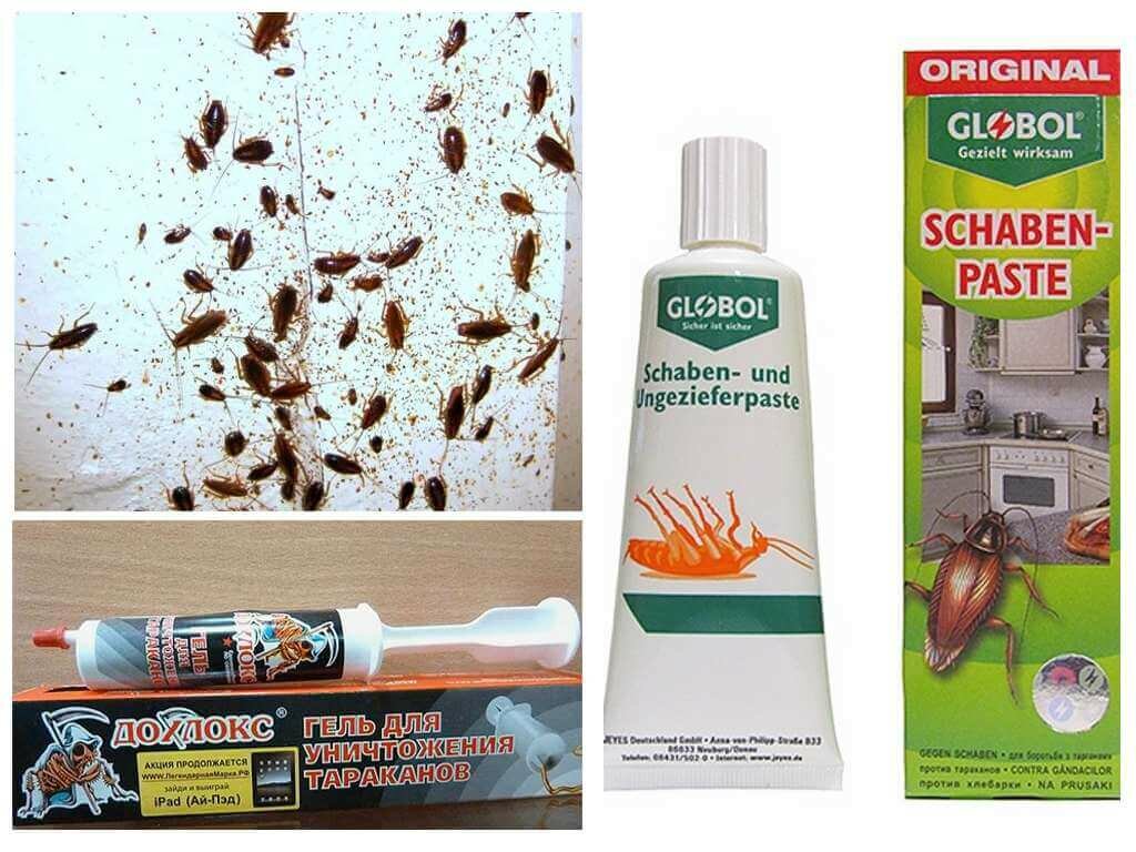 Эффективная отрава для уничтожения тараканов