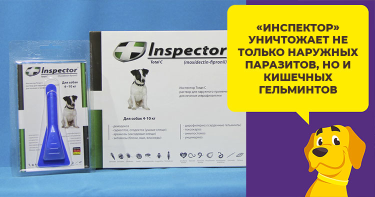 Капли инспектор для собак: инструкция по применению и отзывы