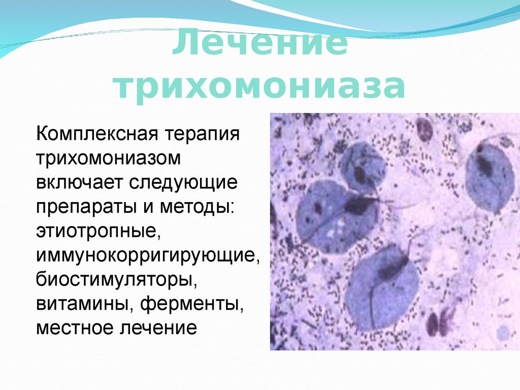 Урогенитальный трихомониаз презентация