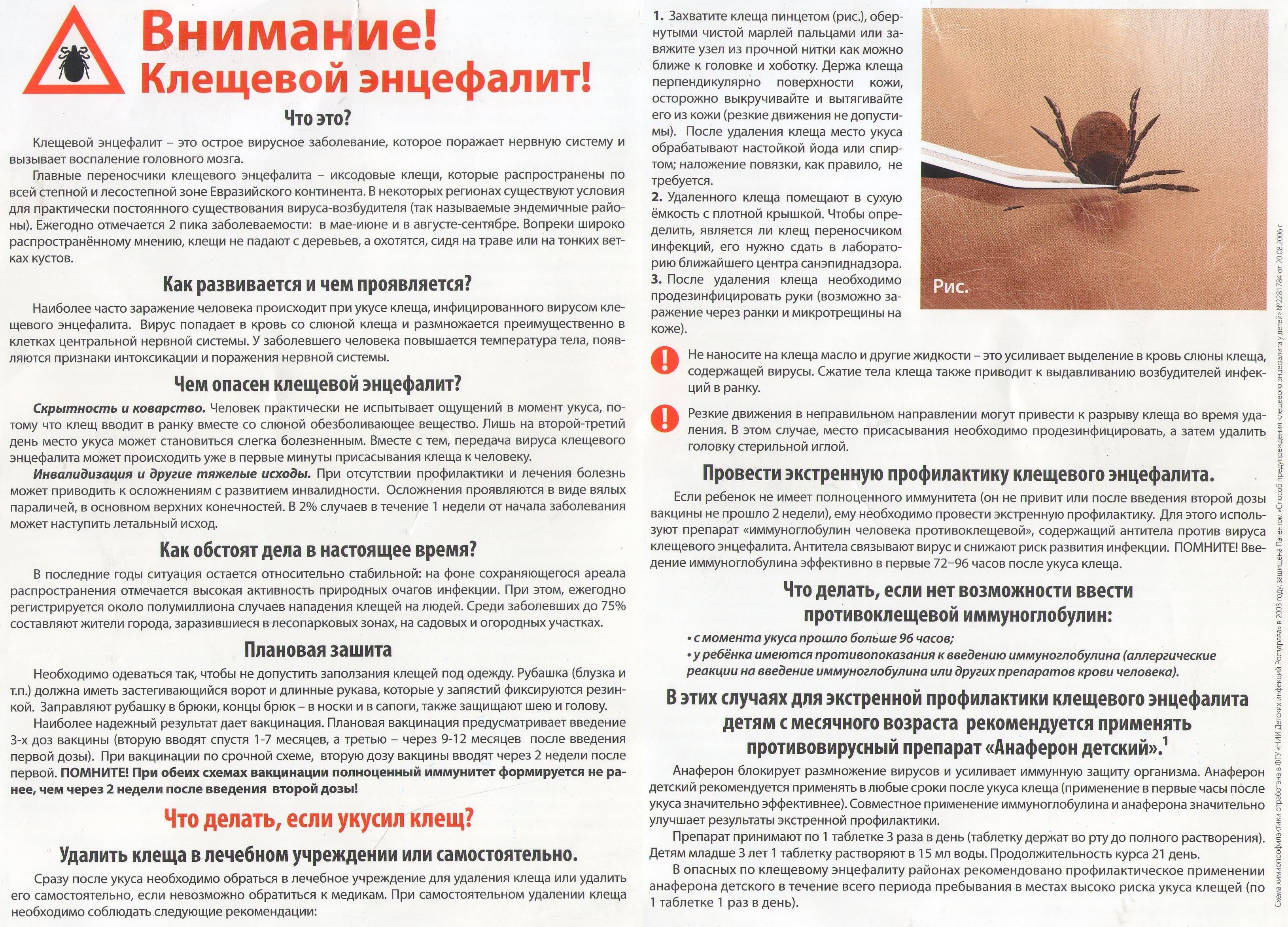 Первая помощь после укуса клеща. признаки укуса клеща и его возможные последствия - sammedic.ru
