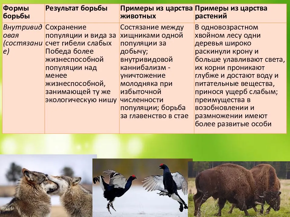 Возможности животного. Внутривидовая форма борьбы за существование. Формы межвидовой борьбы за существование.