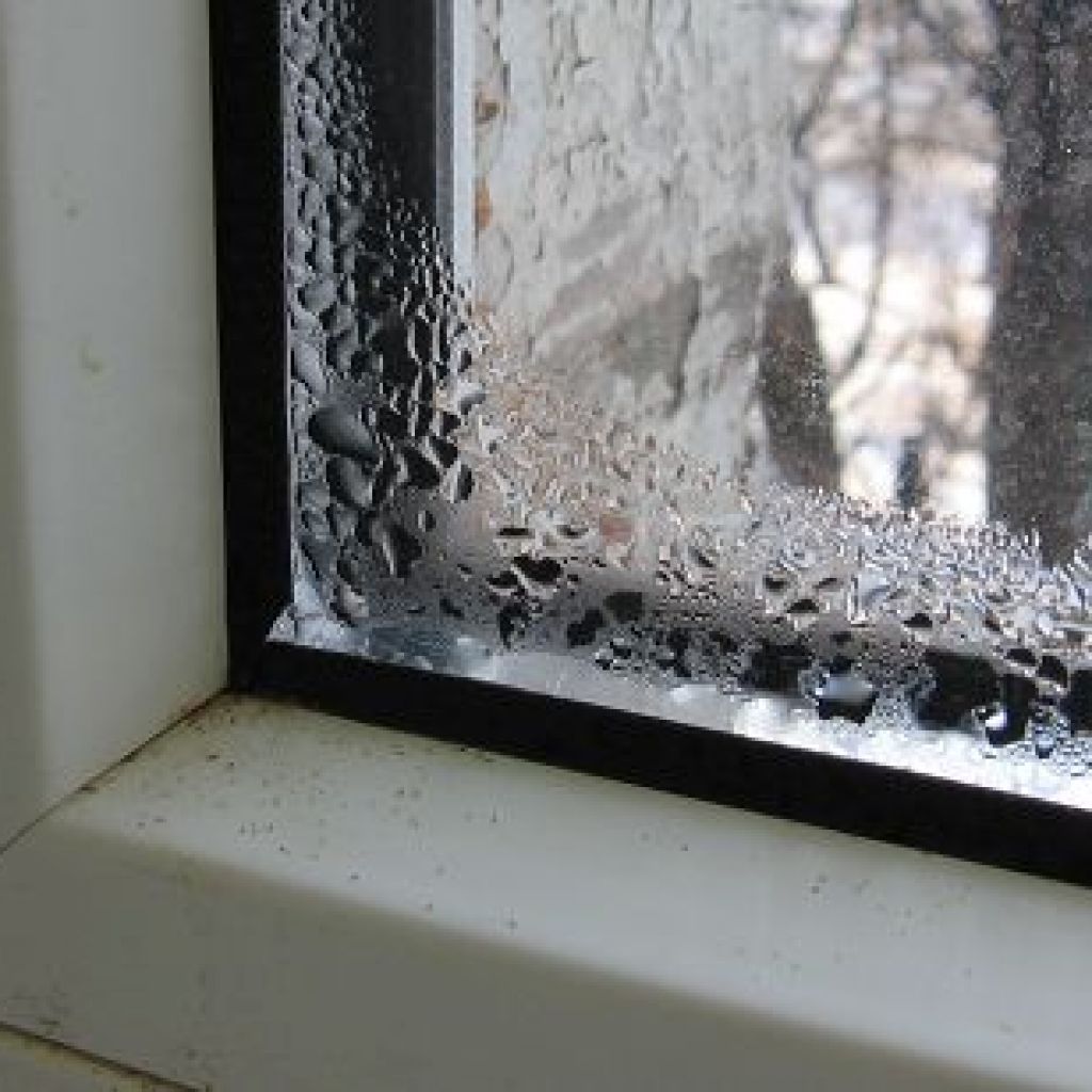 Как справиться с плесенью на окнах
