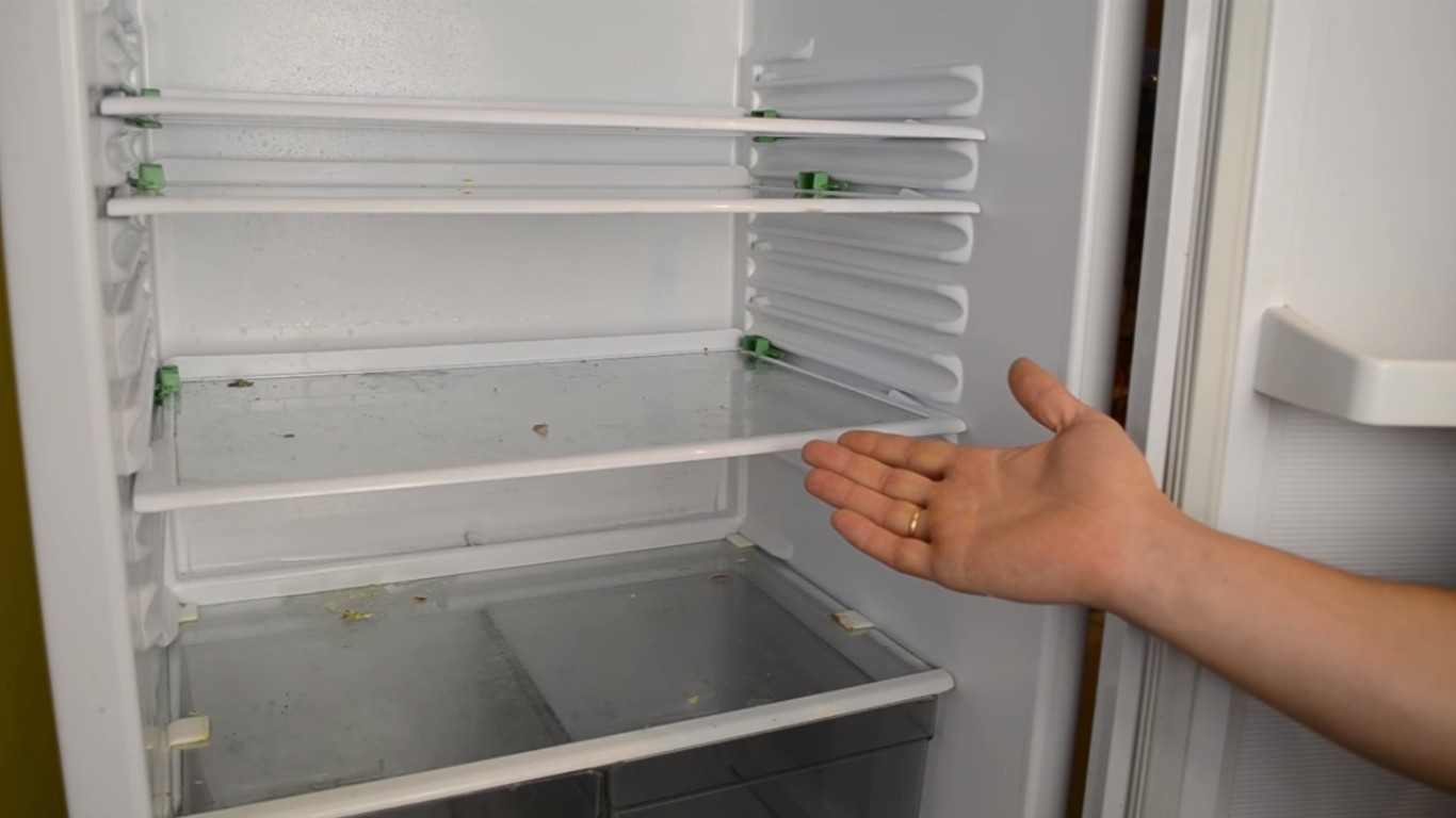Как избавиться от запаха плесени в холодильнике?