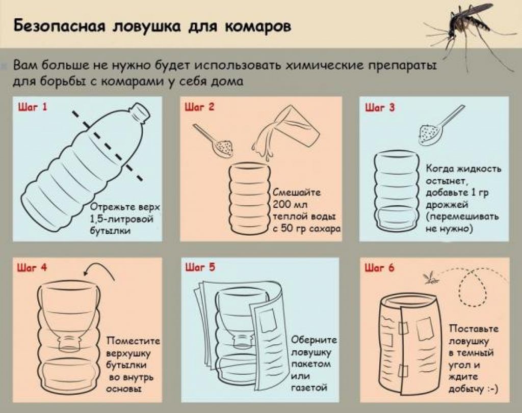 Ловушка для мух: из пластиковой бутылки, электрическая, австралийская, липкая