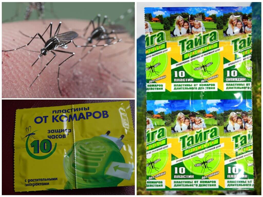 Пластины от комаров – вредны ли для человека?