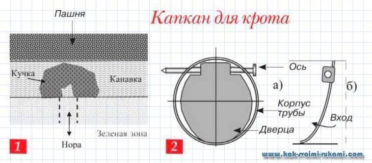 Кротоловка своими руками
