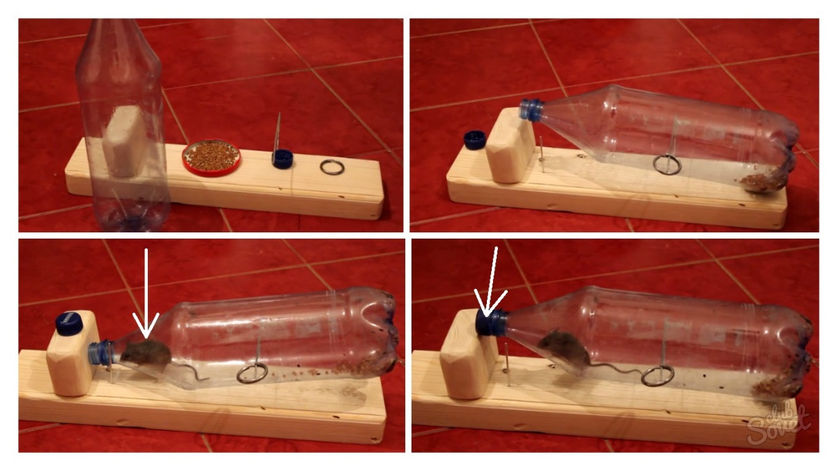 Ловушка для тараканов своими руками - как сделать из пластиковой бутылки, из коробки для карандашей, из банок. выбор приманки.