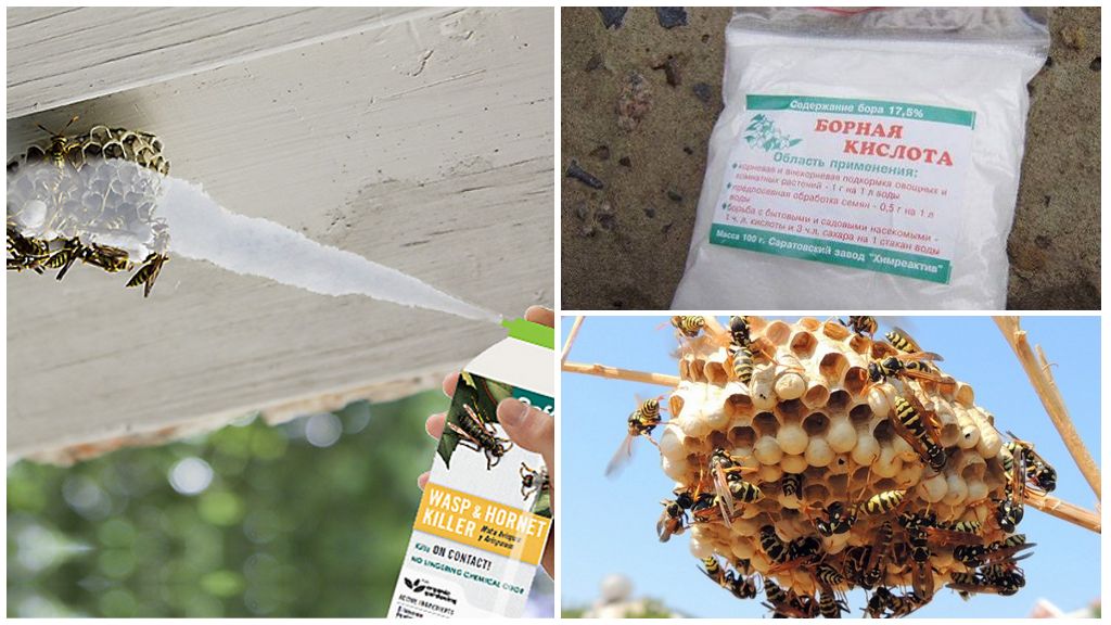 Как избавиться от пчел соседа: как отравить пчел, чего боятся пчелы, какие запахи не любят, как прогнать и уничтожить пчел