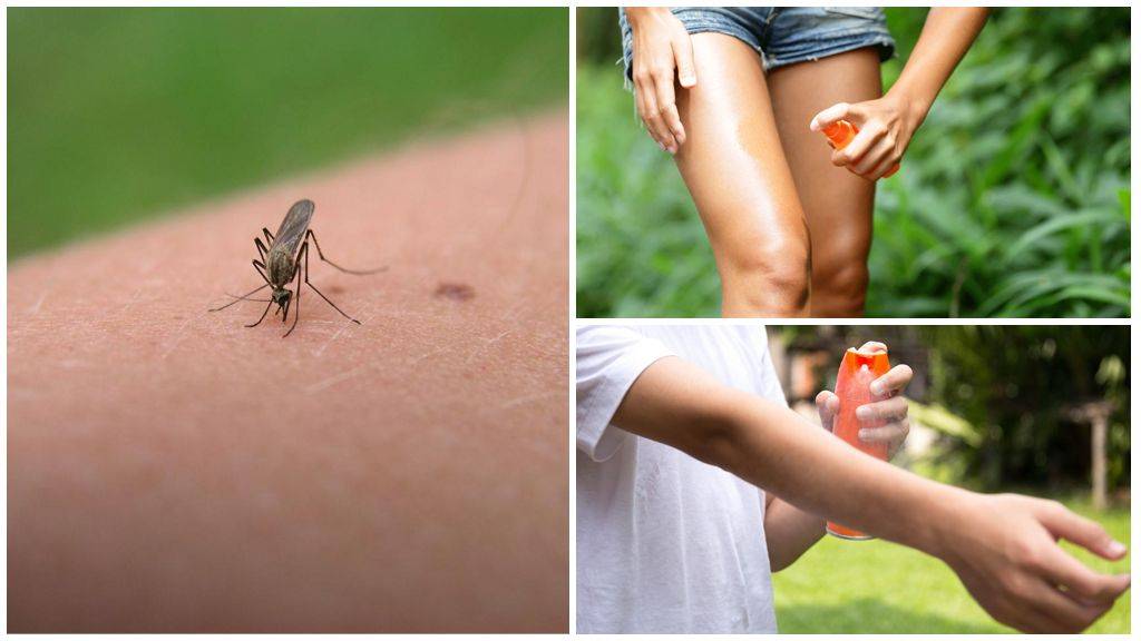 Народные средства от комаров: обзор проверенных рецептов