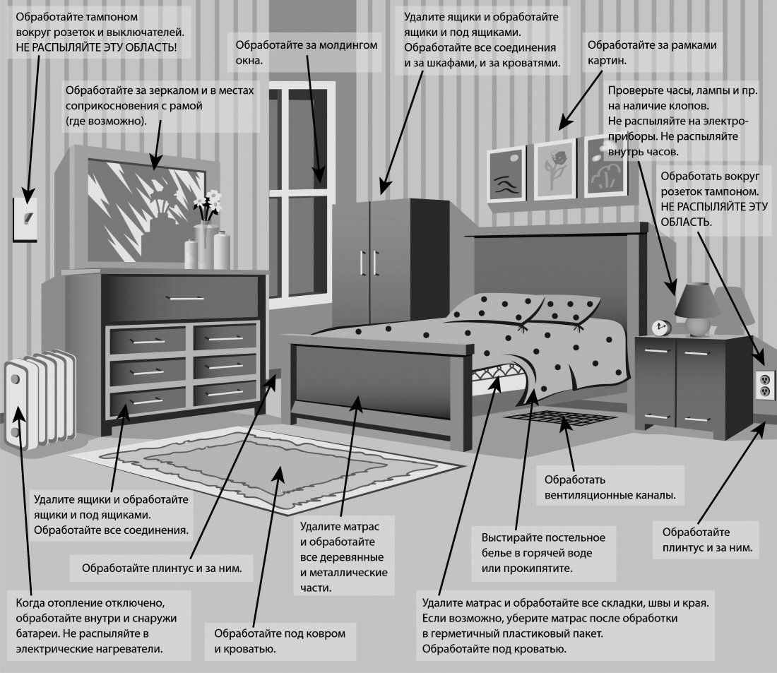 Санитарная обработка квартиры от тараканов - подготовка, требования и средства