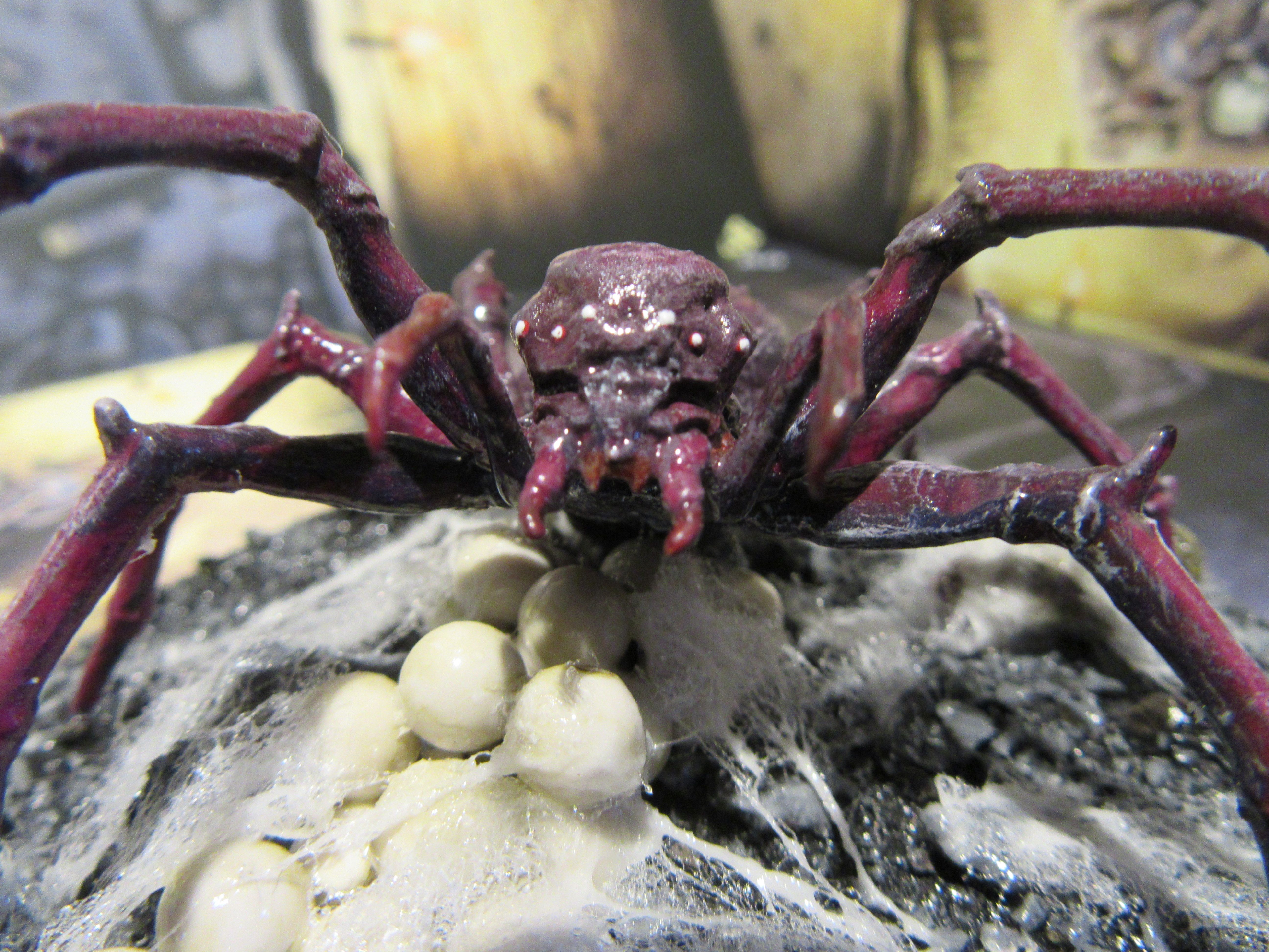 Самые страшные пауки – вся правда об арахнидах. что нужно знать о пауке каракурте