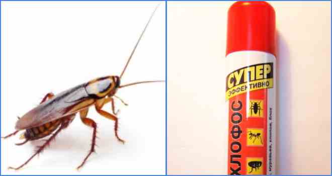 Дихлофос: состав, свойства, инструкция по применениюкак избавиться от насекомых с помощью дихлофоса: борьба с клопами, тараканами, муравьями и другими вредителями
