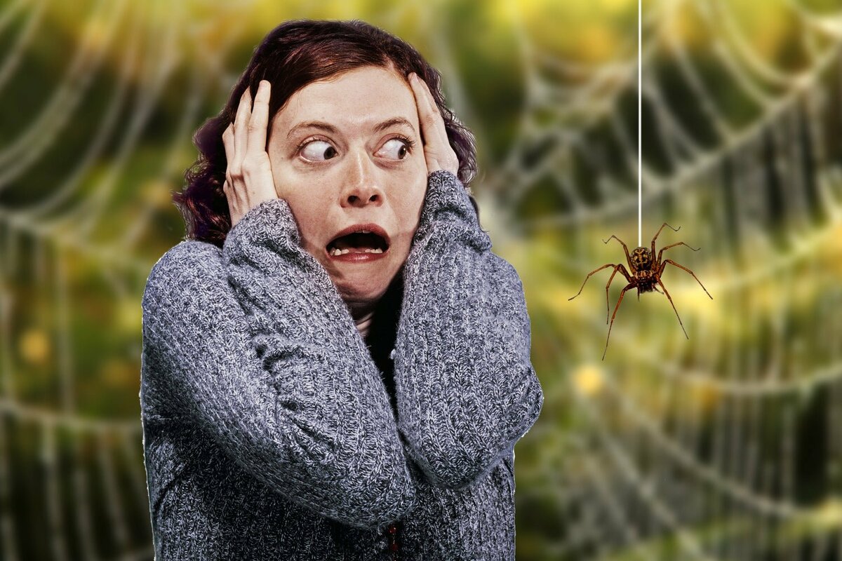 Как избавиться от боязни пауков самостоятельно: что такое арахнофобия, кратко