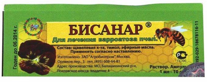 Пчелиный клещ варроа: описание и способы лечения