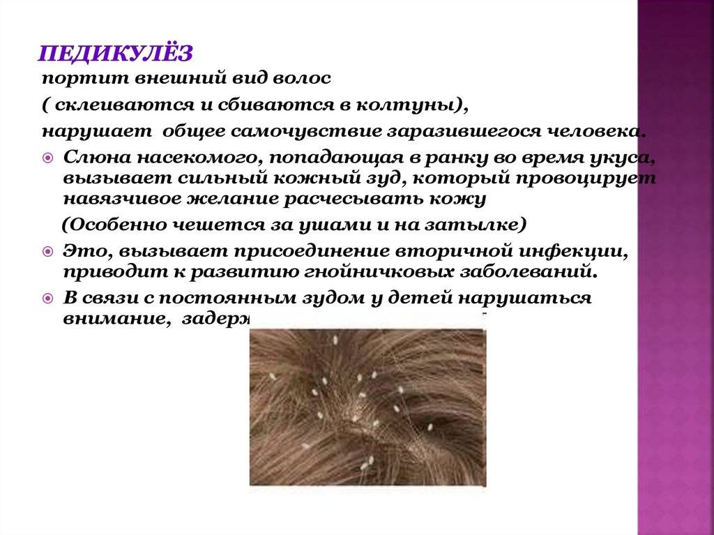 Болезни кожи головы: виды, симптомы, методы лечения — здоровая кожа: лечение и уход