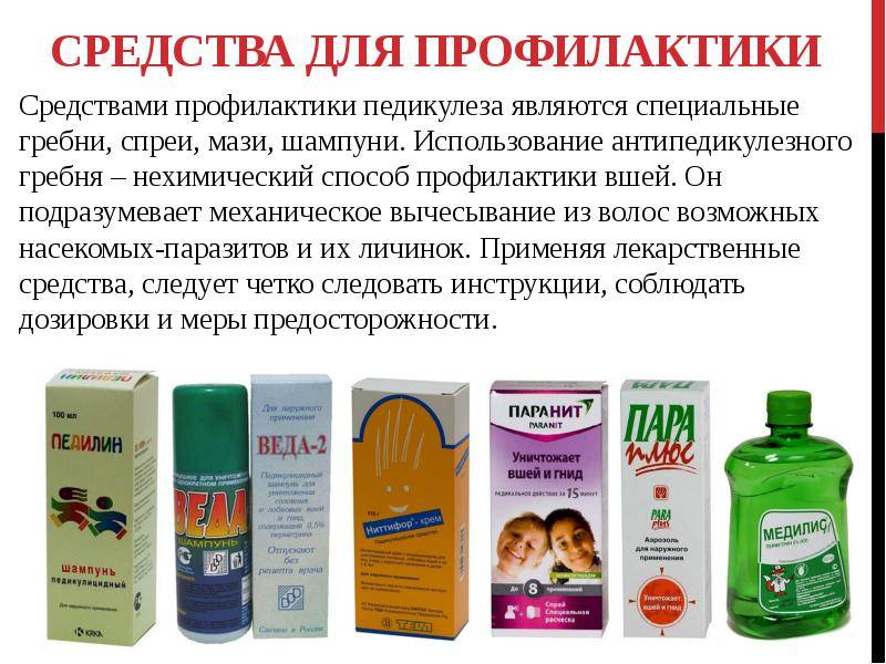 Педикулёз тела - симптомы болезни, профилактика и лечение педикулёза тела, причины заболевания и его диагностика на eurolab