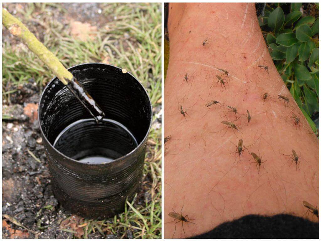 Как применять деготь от комаров и мошек