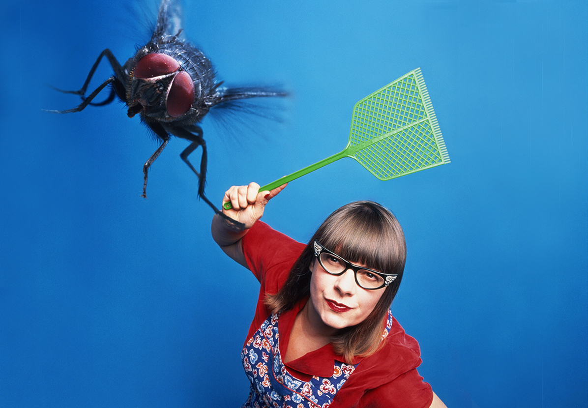 Как бороться с мухами в частном доме