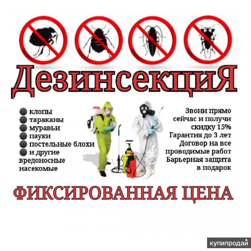 Образец объявления о дезинсекции