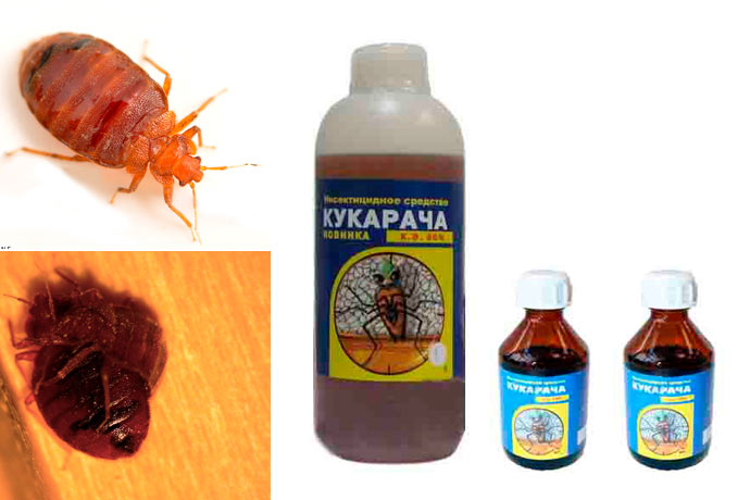 Средство от тараканов «кукарача» (50 гр)