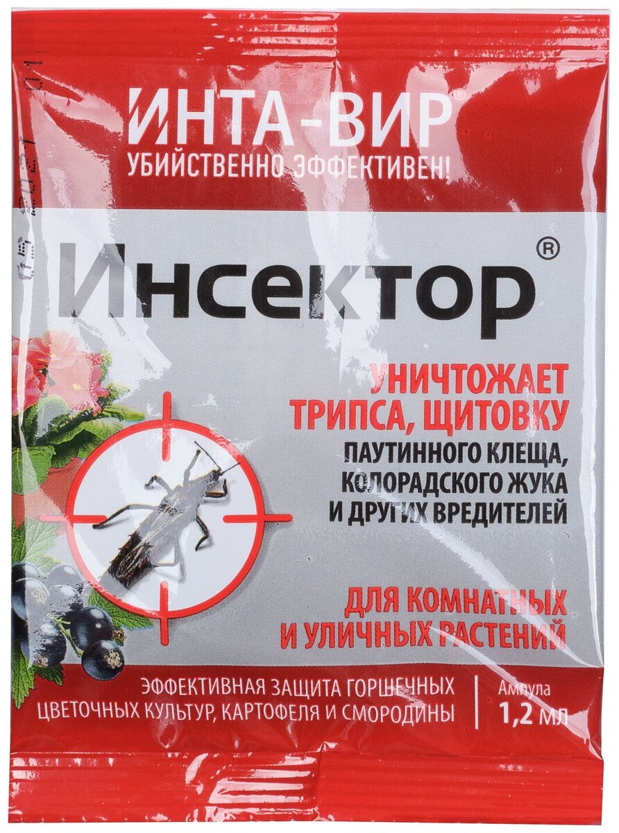 Интавир от колорадского жука: отзывы, инструкция по применению