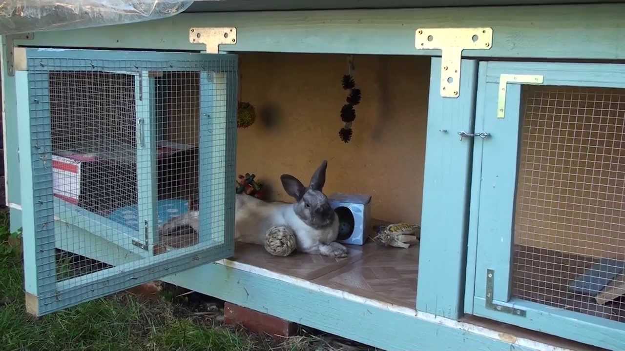 Как обезопасить кроликов от комаров
