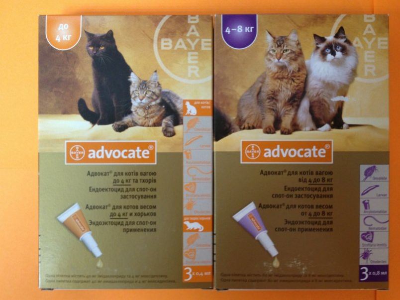 Адвокат / advocate (капли) для собак и кошек | отзывы о применении препаратов для животных от ветеринаров и заводчиков