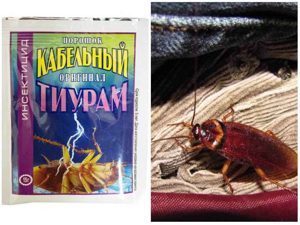 “тиурам” от тараканов: достоинства и недостатки