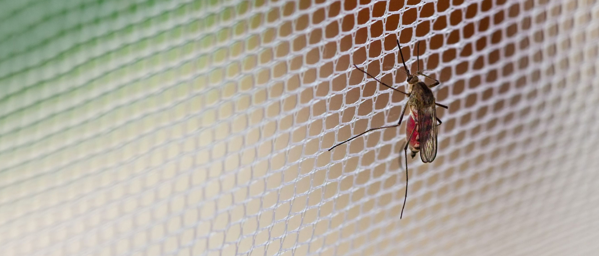 Сетка от комаров: на магнитах или липучках, в рулонах, раздвижная, рамочная, для пластиковых окон и другие виды