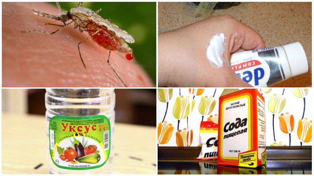 Первая помощь: чем помазать укус комара, чтобы не чесался
