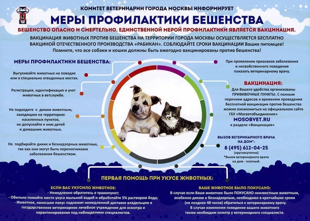 Прививки от клещей для собак: делают ли, виды и название вакцин, основные правила вакцинации