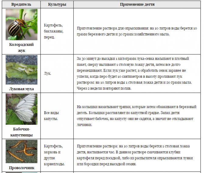 Берёзовый дёготь в огороде от вредителей: овощей, видео, отзывы, где купить