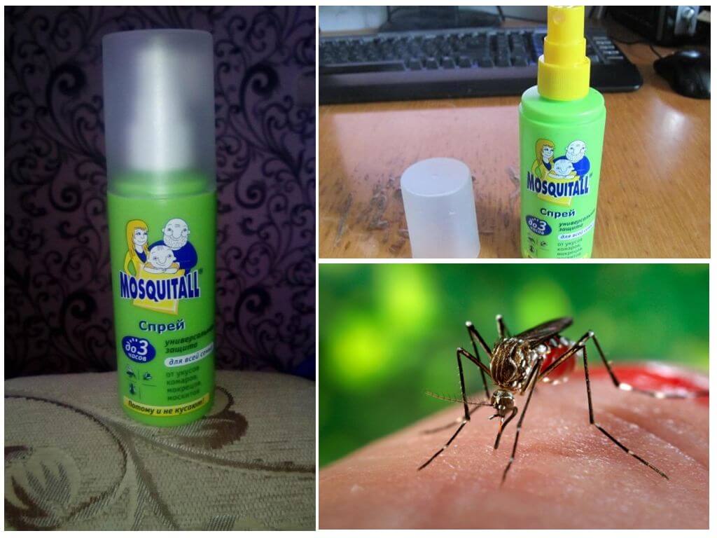 Средства от комаров и мошек своими руками