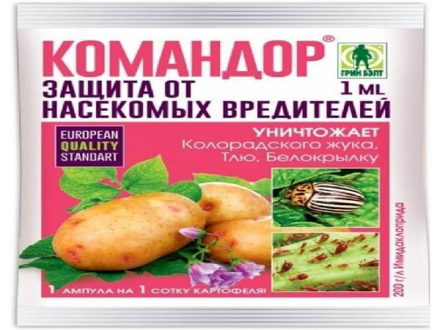 ᐉ обработка картофеля перед посадкой – назначение и методы - roza-zanoza.ru