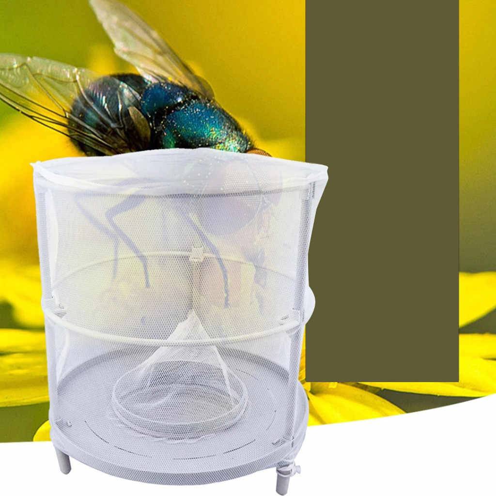Самодельные липкие ленты от мух. липучка для мух и рецепты её приготовления в домашних условиях. каковы же их преимущества и недостатки