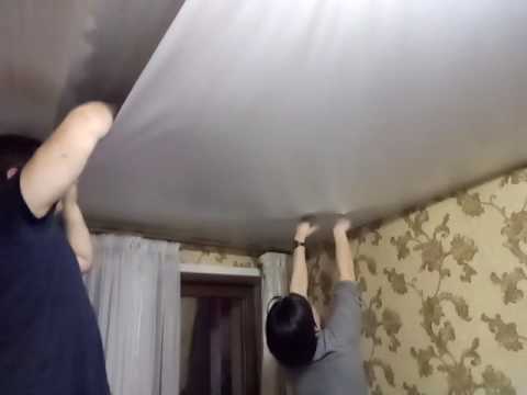 Мыши в потолке — как прогнать непрошеных «гостей»