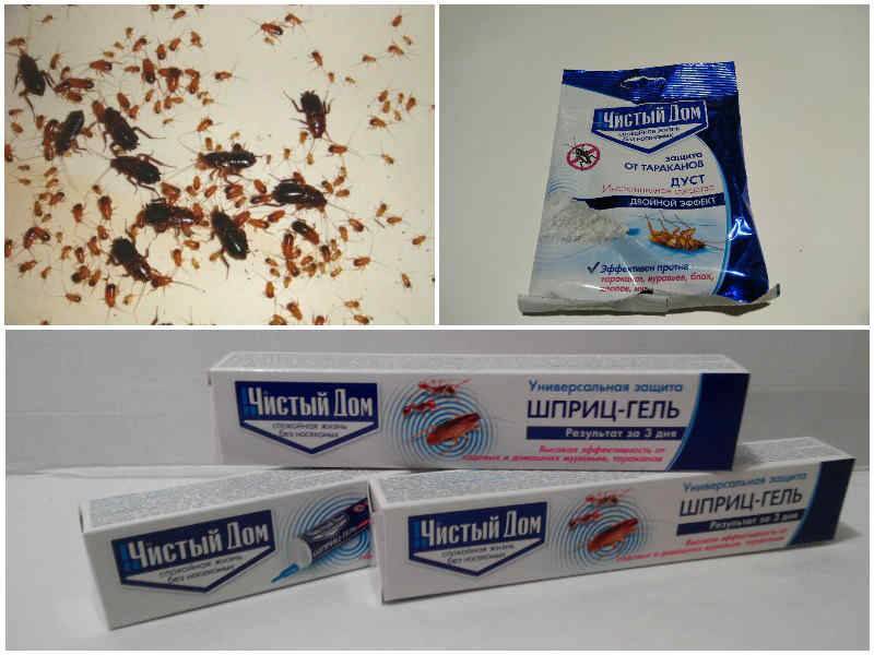 "чистый дом" - современные препараты для уточтожения от тараканов
