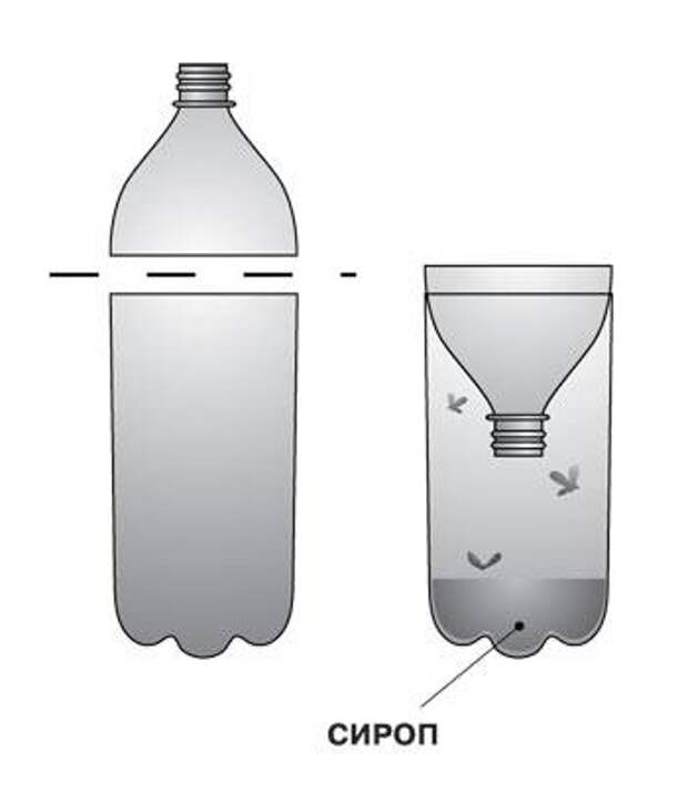Ловушка для ос из пластиковой бутылки своими руками